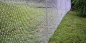 Chain Link Fence