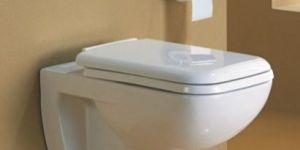 Wall Mounted Water Closet