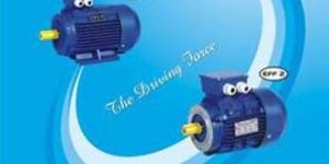Standard Electric Motors