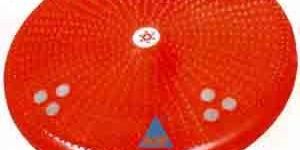 Small Acupressure Twister