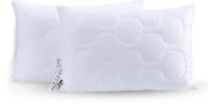 Tencel Pillow