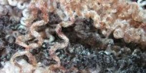 Polyester Shaggy Yarn