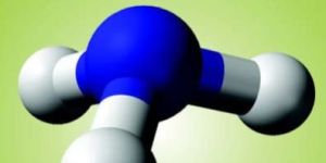 Inorganic Pharmaceutical Chemistry (Theory) Book