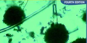 Pharmaceutical Microbiology (Experiments and Techniques) Book