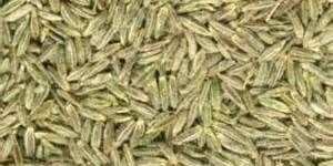Indian Cumin Seeds