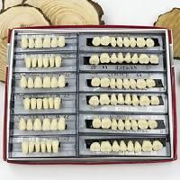 Acrylic Teeth Set