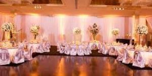 Reception Party Organizer