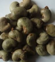 Unprocessed Cashew