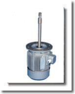 Cooling Tower Fan Motor