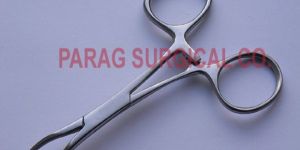 Towel Clip (Backhaus )