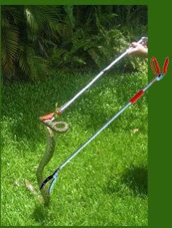 Snake Catching Stick