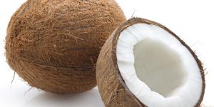 Coconut