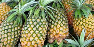 Pine Apple