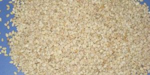 Sesame Seed