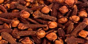 Cloves