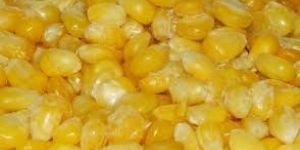 Frozen Sweet Corn