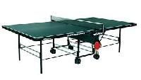 Ping Pong Table