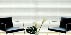 Venetian Blinds