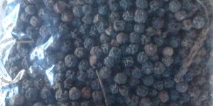 Black Pepper