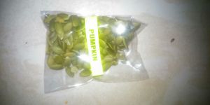 Pumpkin Seeds