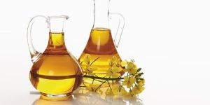 Export of Rapeseed Oil