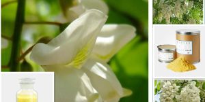 Rutin Cas 153-18-4 Purity 95.5%