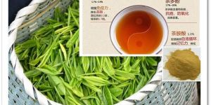 Tea Polyphenol