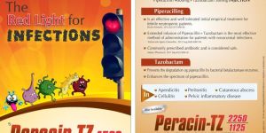 Peracin Tz Injection 4500 Mg