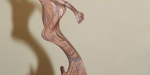 Lady in Sleeping Posture