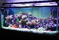 Marine Aquarium