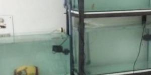 Marine Aquarium Setup