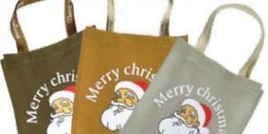 Carry Bag Printing Services