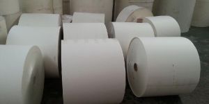 PE Coated Paper Rolls