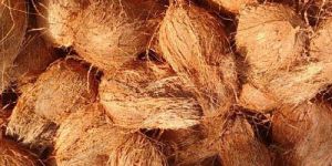 Export Quality Mature Brown Coconuts