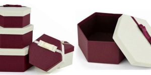 Rigid Gift Packaging Boxes
