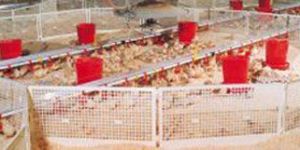Plastic Brooder Guard