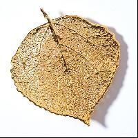 Gold Plated Leaf