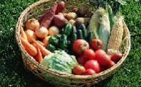 Vegetable Basket