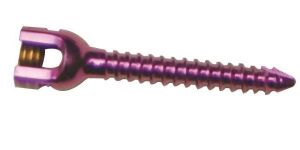 Monoaxial Screws