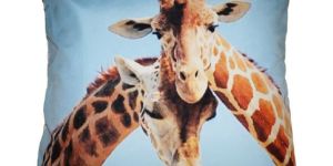 Cushion & Cushion Covers