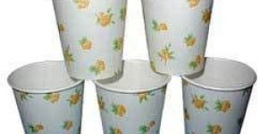 Disposable Juice Glasses