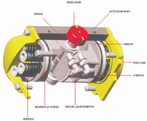 Pneumatic Rotary Actuator