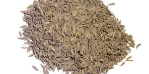 Colombo Cumin Seeds