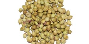 Eagle Scooter Coriander Seeds