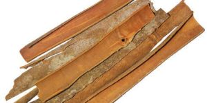 Split Cinnamon Sticks