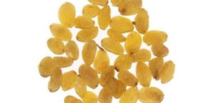 Yellow Raisins