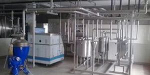 Milk Dairy Plants