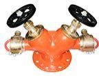Double Outlet Landing Valve