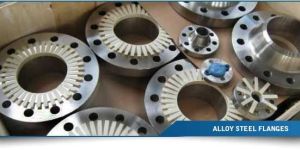 Alloy Steel Flanges