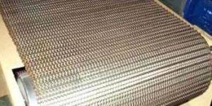Wire Mesh Conveyor